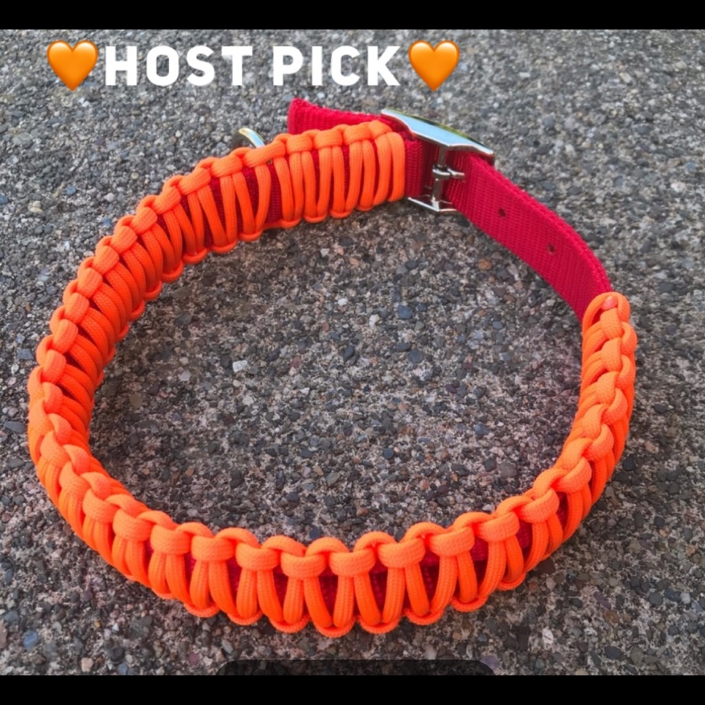Hand crafted Dog COLLAR, Large or XL